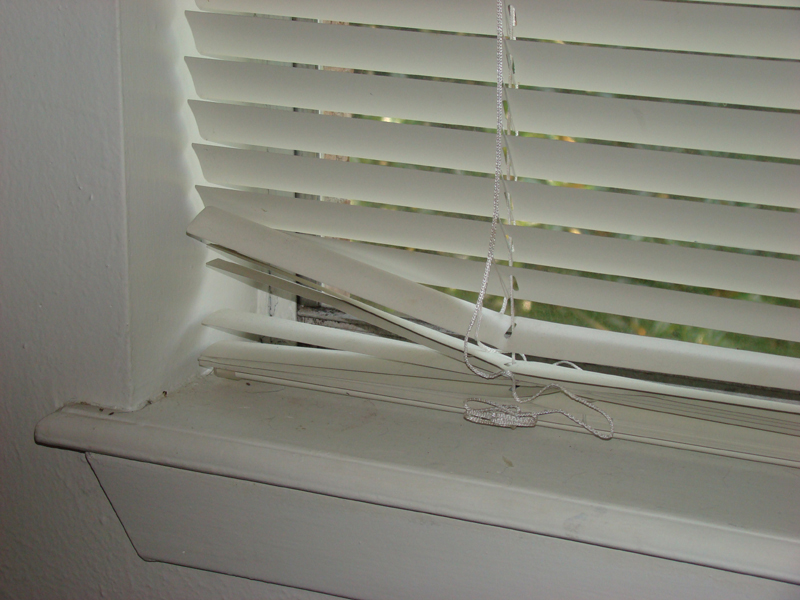 DSC01086