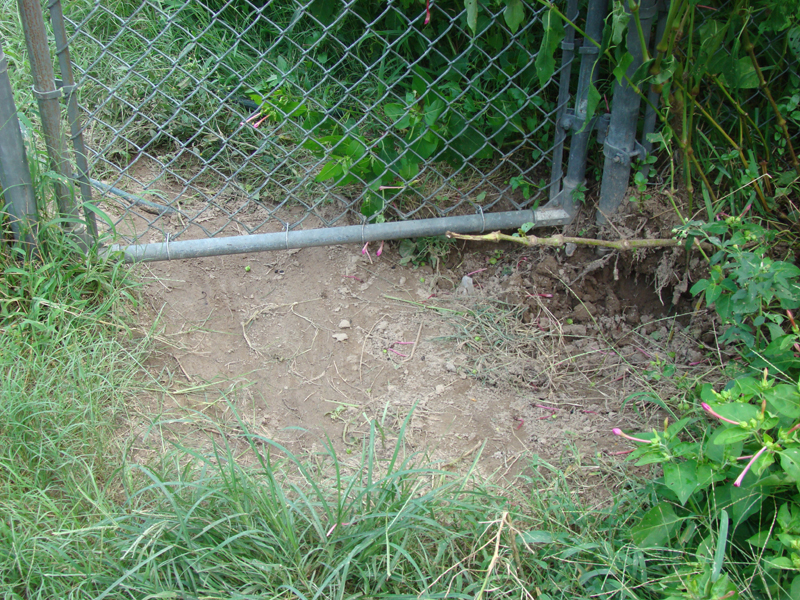 DSC01093