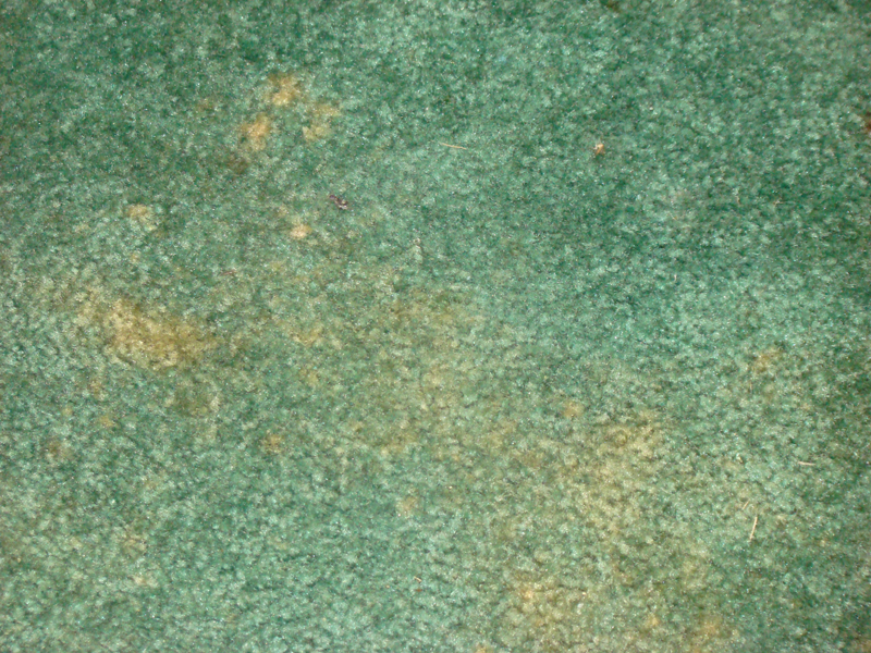 DSC01133