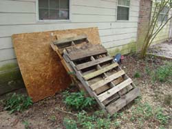 DSC01025