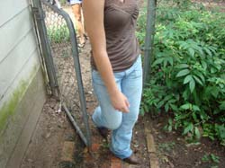 DSC01036