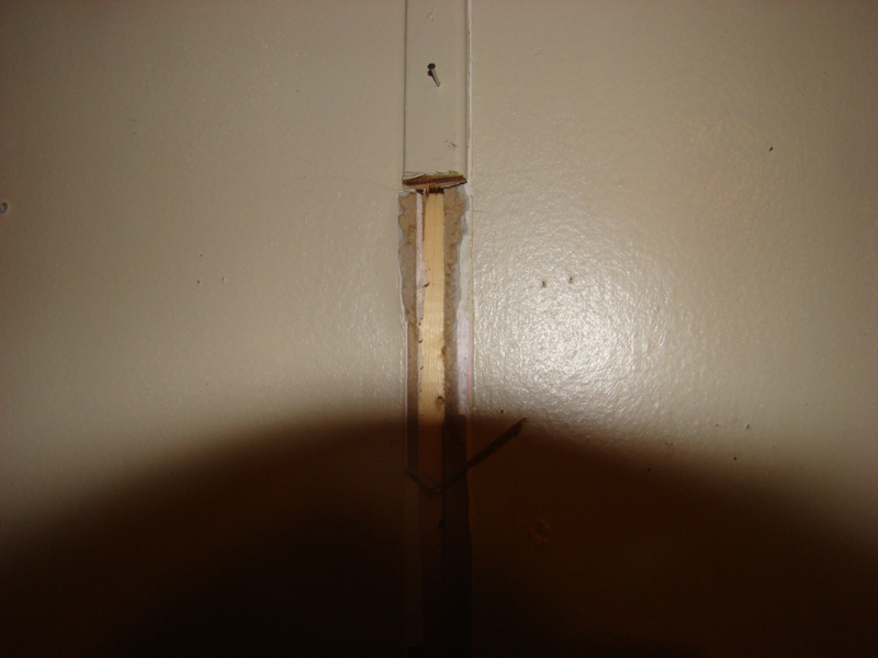 DSC00783