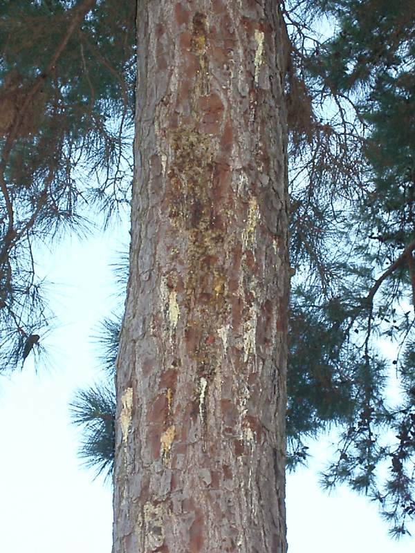 P7010180