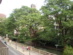 DSC05985