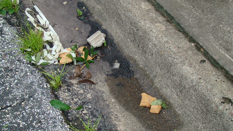 DSC01814