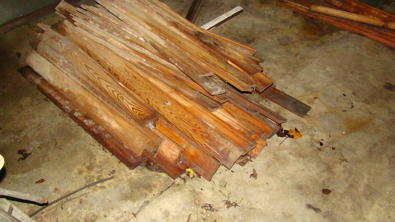 DSC01916