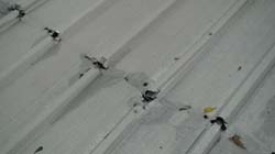 DSC01730