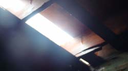 DSC01820