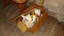 DSC01860