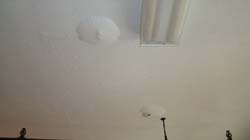 DSC01886