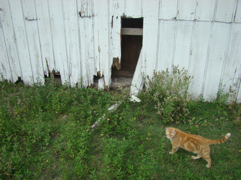 DSC04146
