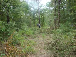 DSC06088