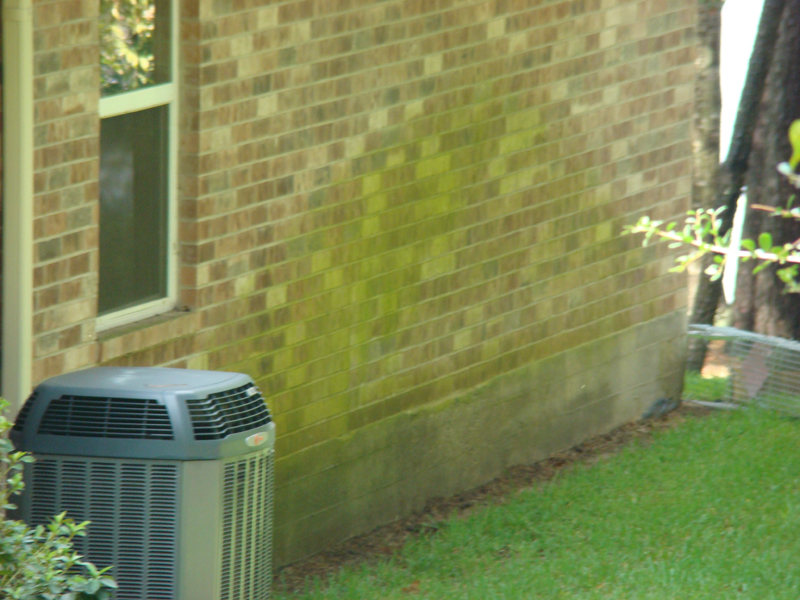 DSC05052