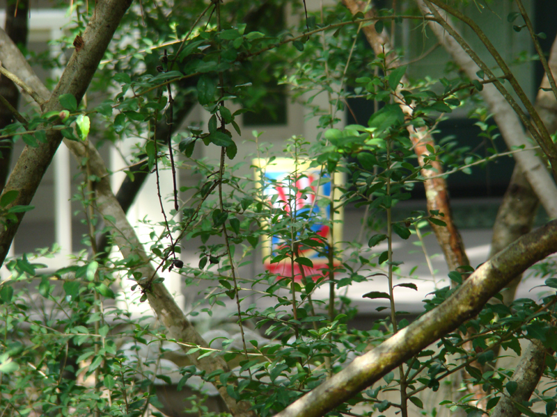 DSC05064