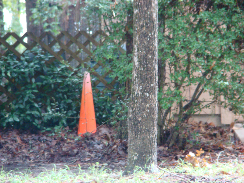 DSC05077