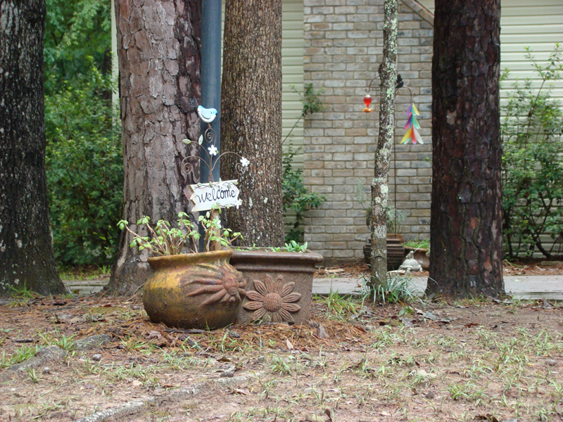 DSC05130