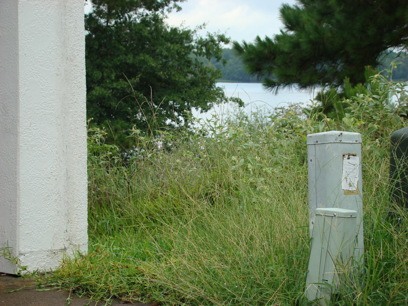 DSC05151