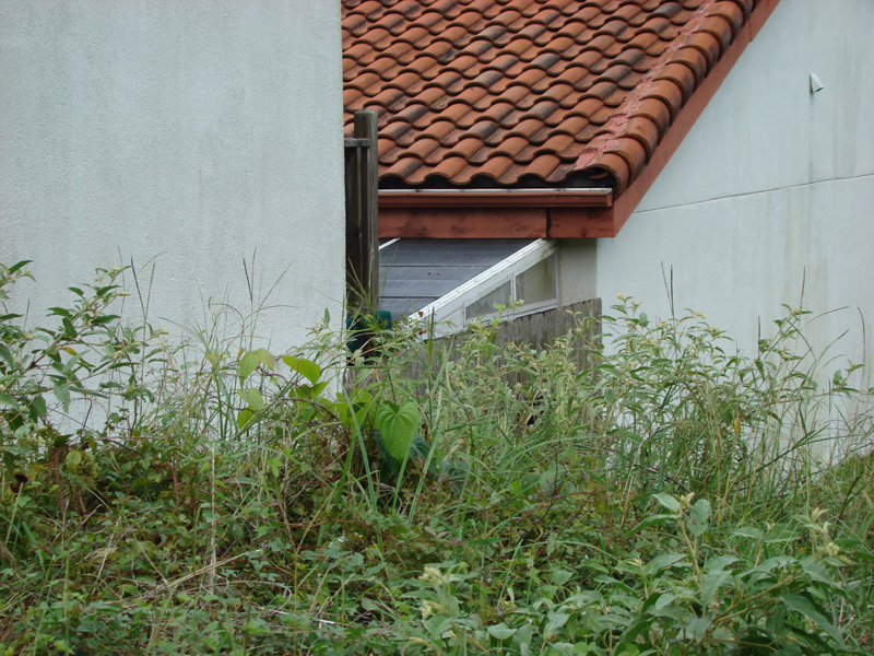 DSC05152