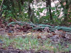 DSC05208