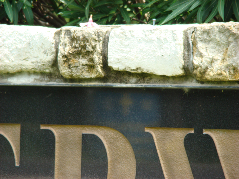 DSC05311