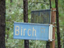 DSC05259