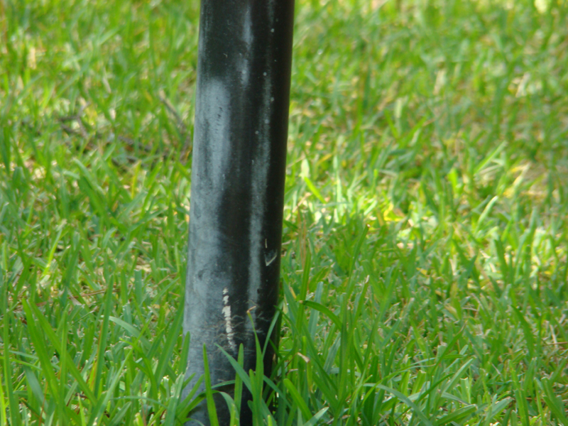 DSC05510