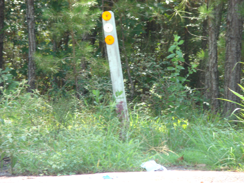 DSC05567