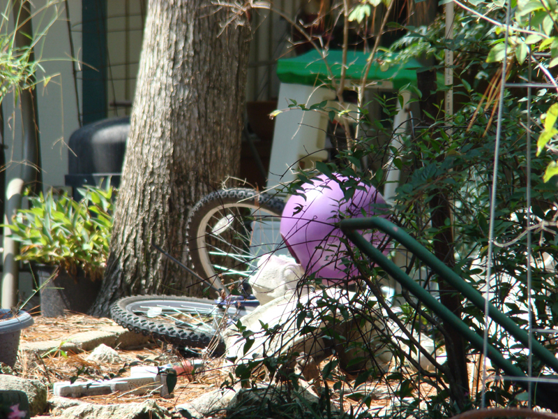 DSC05604