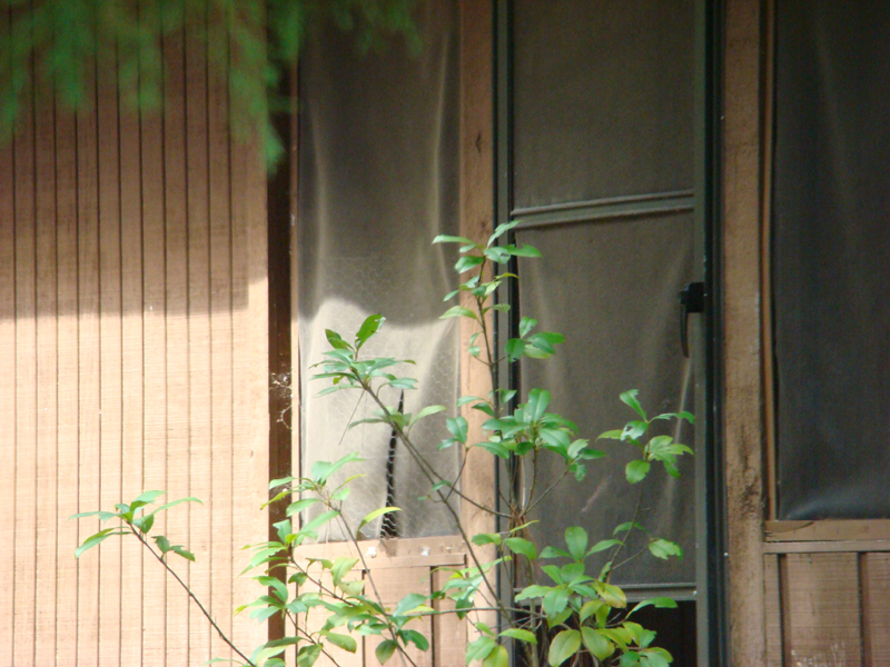 DSC05651