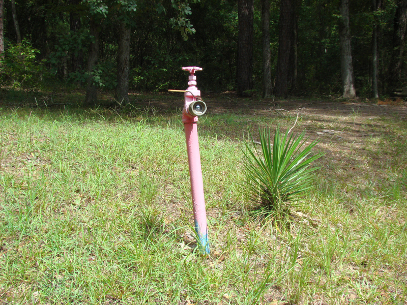 DSC05655