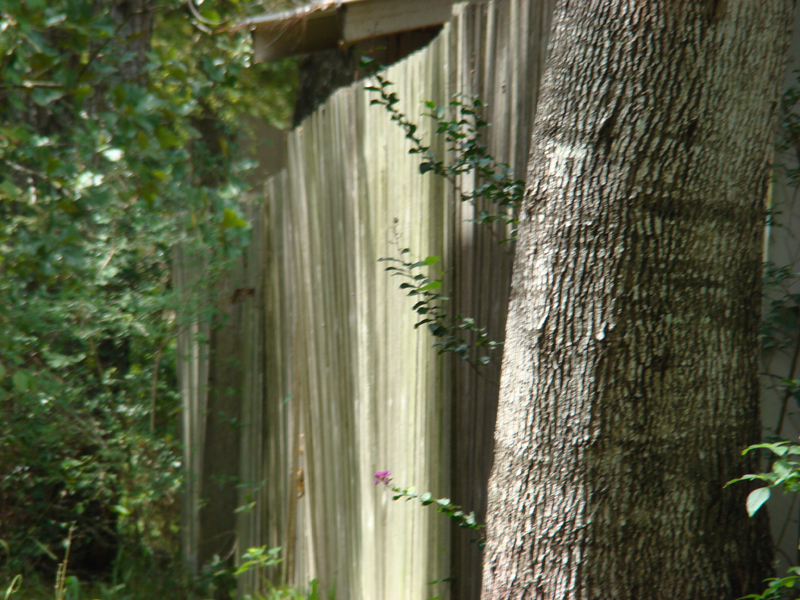 DSC05700