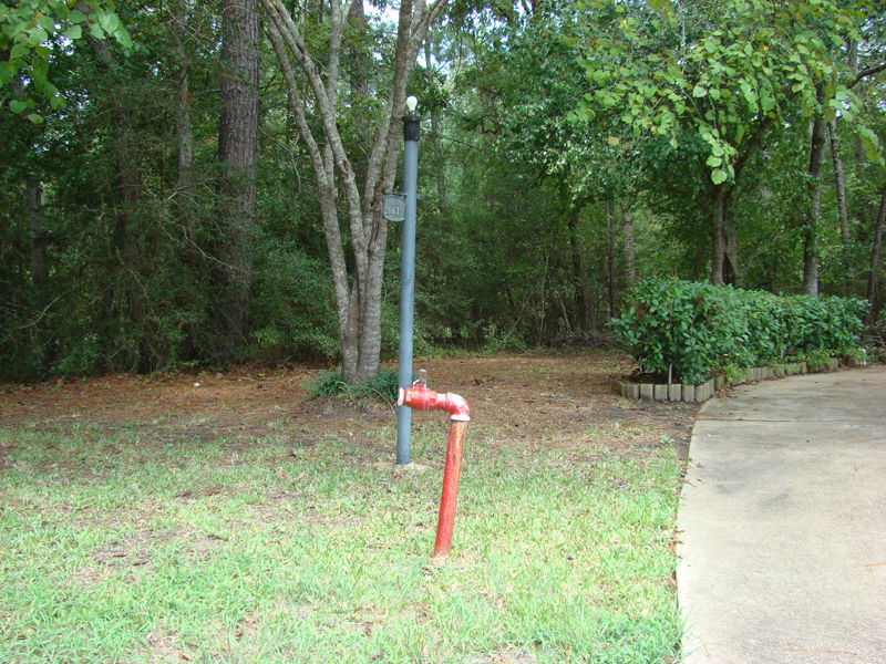 DSC05710