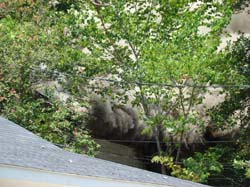 DSC00072