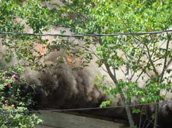 DSC00085