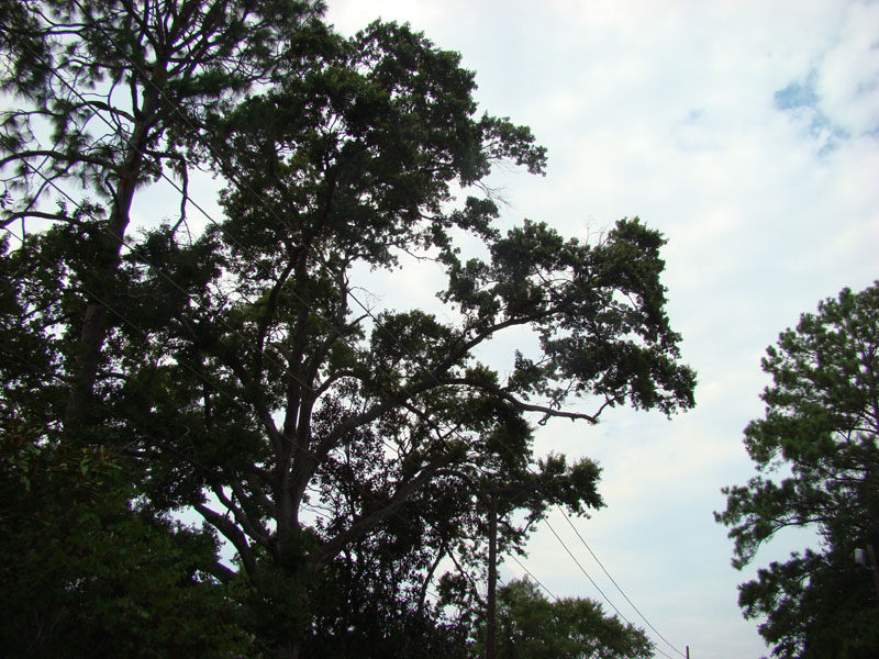 DSC00184