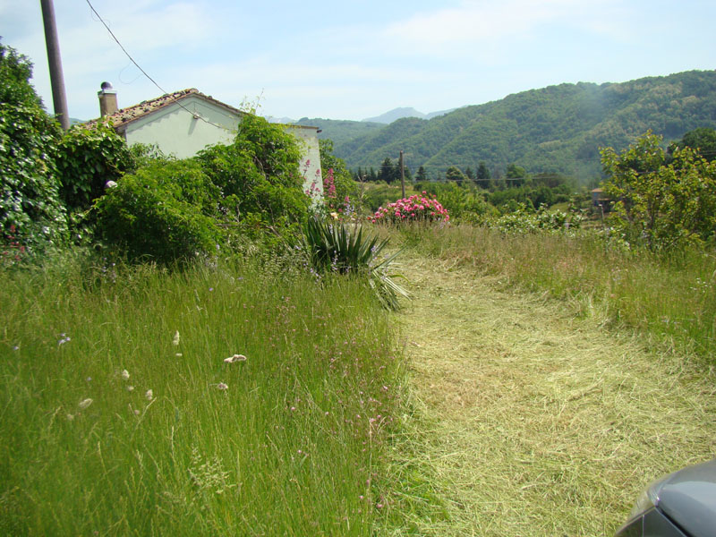 DSC02020