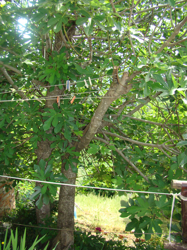 DSC02024