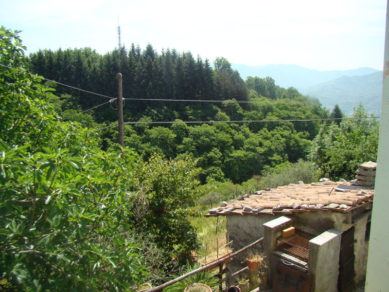 DSC02033