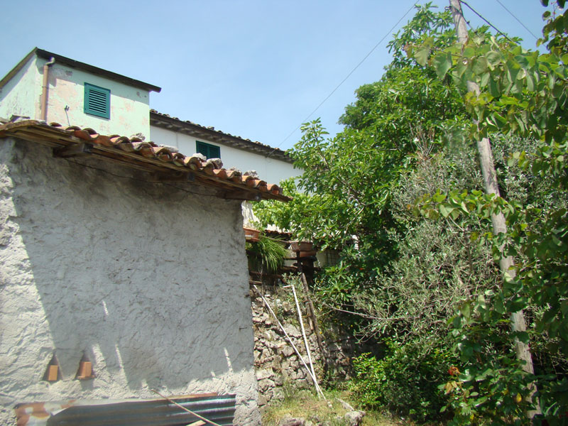 DSC02041