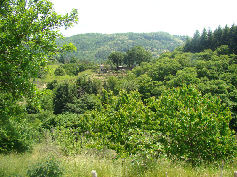 DSC02042