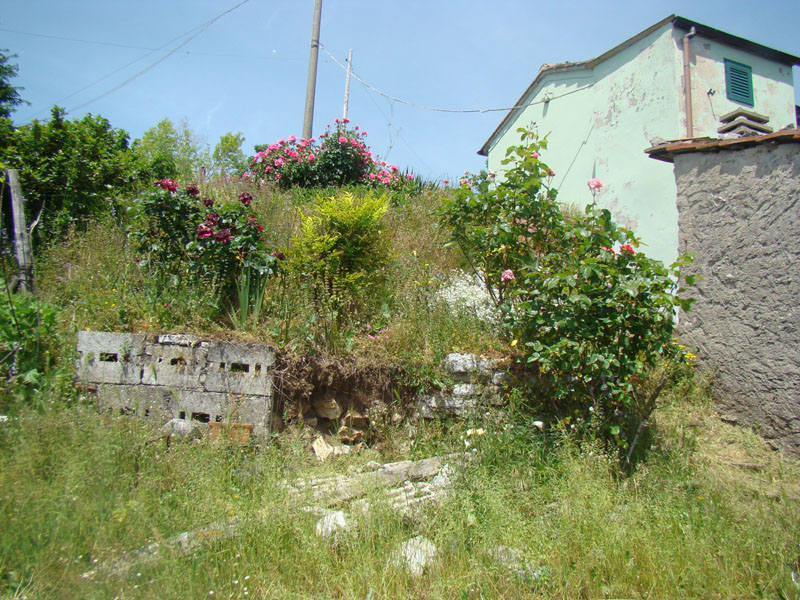 DSC02044