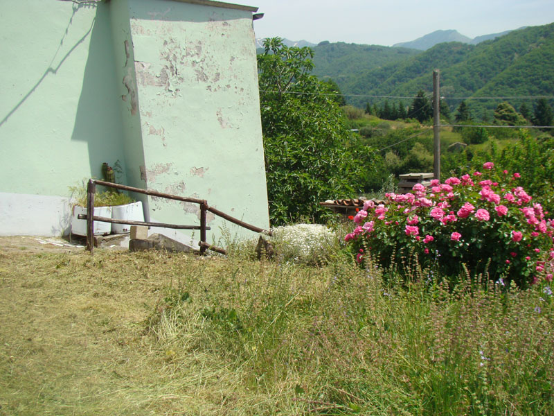 DSC02047