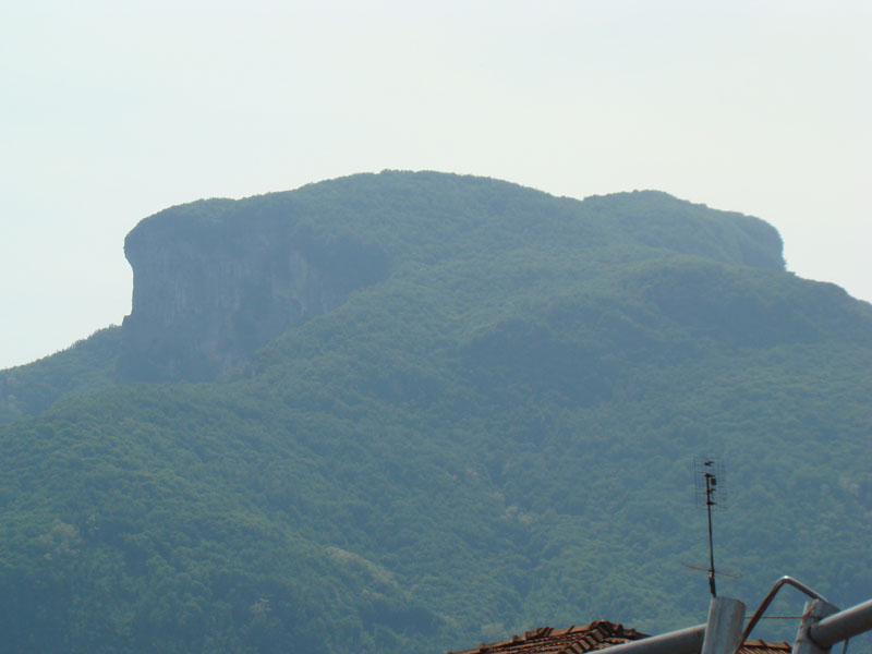DSC02066