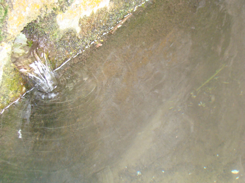 DSC02080