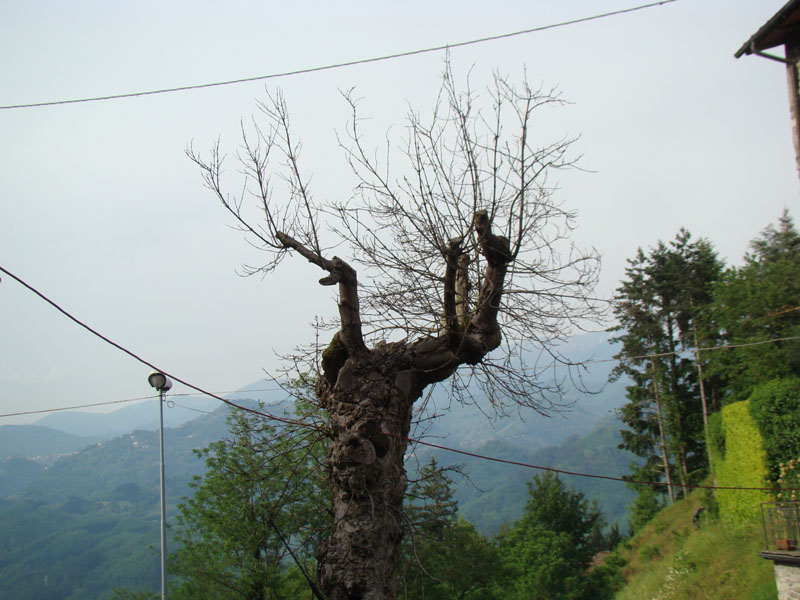DSC02084