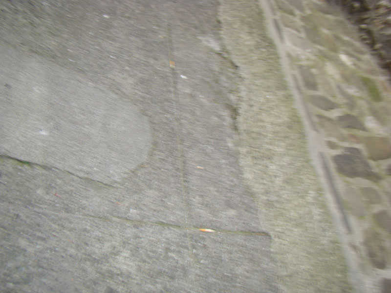 DSC02089