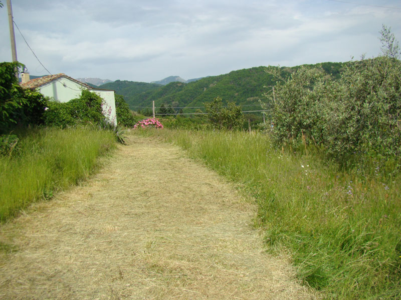 DSC02096