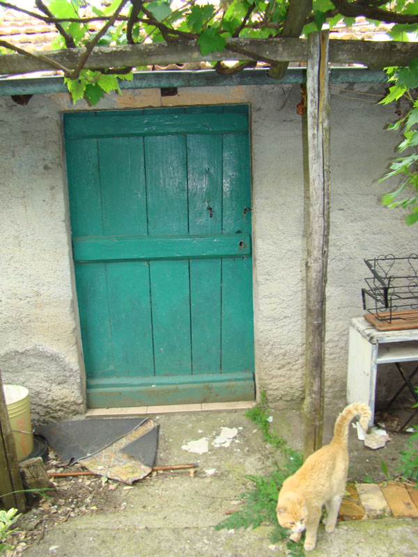 DSC02104