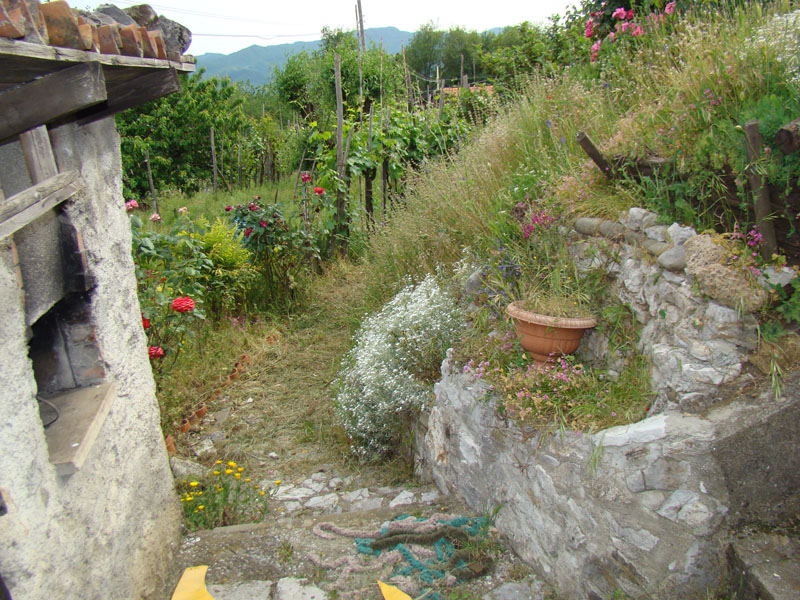 DSC02109