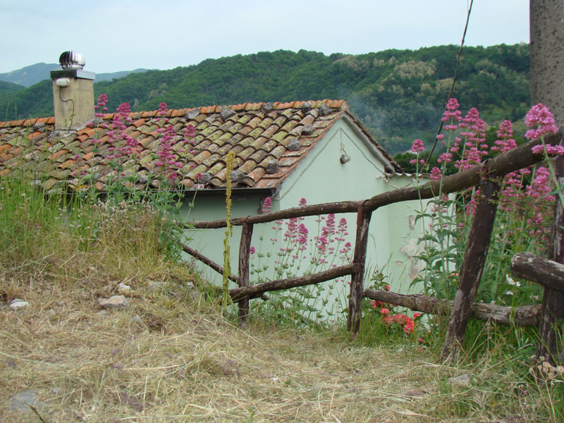 DSC02115